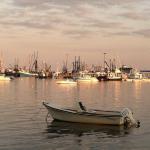 Cape Cod at Dusk 